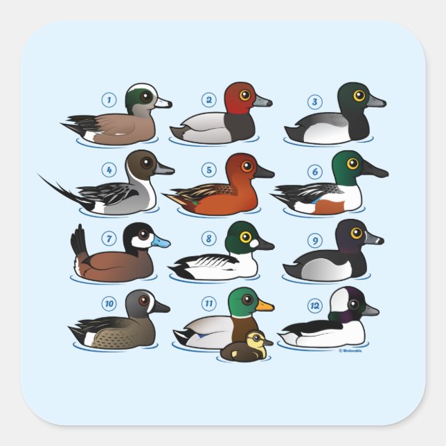 12 Ducks Square Sticker (Front)