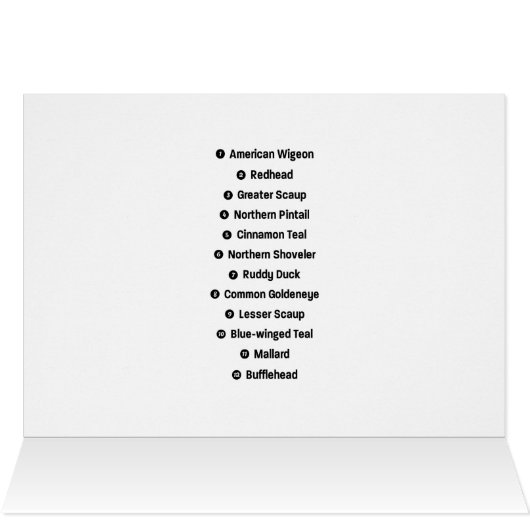 12 Ducks with Key (Inside Horizontal (Top))