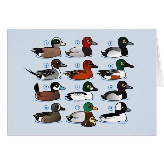 12 Ducks with Key Cards (Front Horizontal)