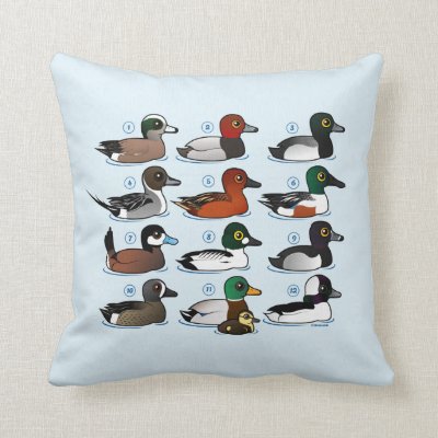 12 Ducks with Key Throw Pillow