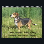 12 Month Beagle Calendar - What A Dog!<br><div class="desc">This colorful 12 month Calendar features that handsome hound, Cooper the Wonder Beagle, doing what he does best - look handsome! Cooper almost seems to like to pose, as shown by these 12 photos taken in and around Pueblo, Colorado. The backdrops include Lake Minnequa, the Riverwalk and Lake Elizabeth, both...</div>