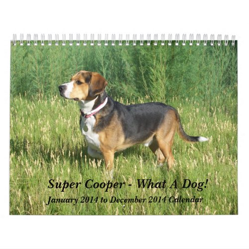 12 Month Beagle Calendar _ What A Dog