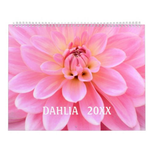 12 month Beautiful Dahlia Photo Calendar