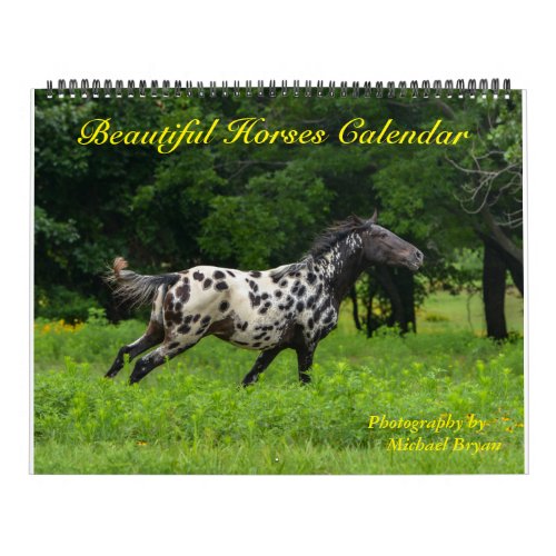 12 Month Beautiful Horses Calendar Large Calendar