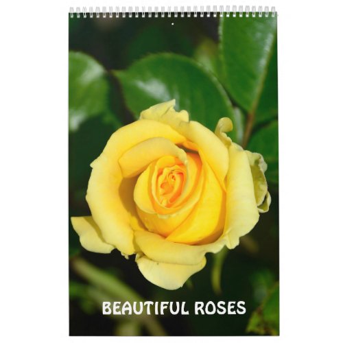 12 month Beautiful Roses Calendar