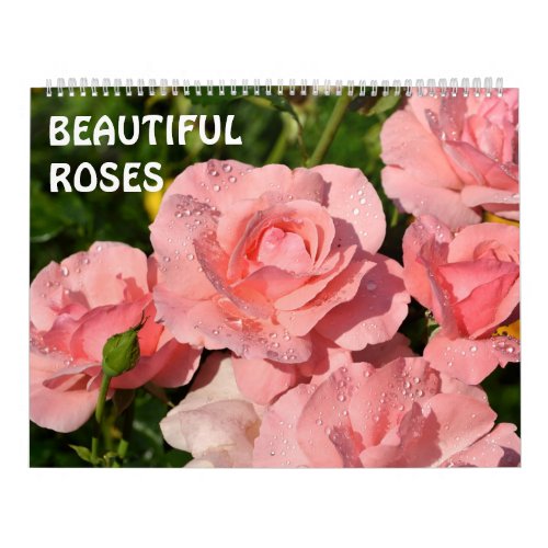 12 month Beautiful Roses Calendar