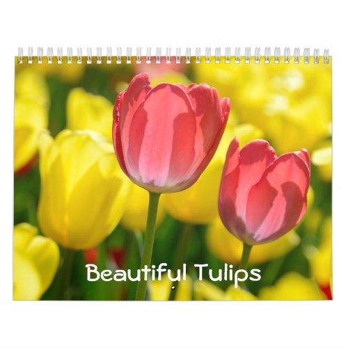 12 month Beautiful Tulips 2 Calendar