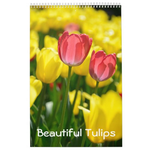 12 month Beautiful Tulips 2 Calendar