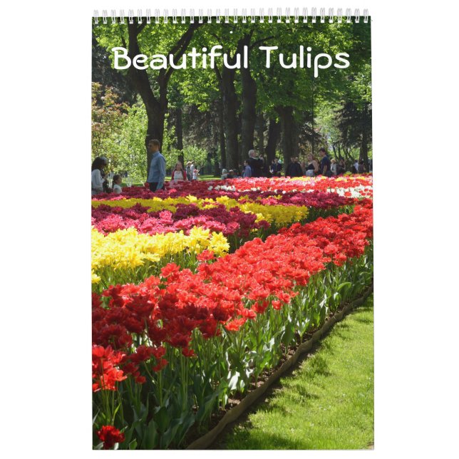 12 month Beautiful Tulips Calendar (Cover)
