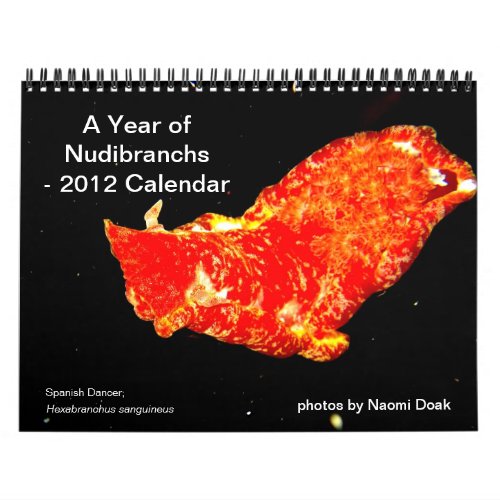 12 month calendar featuring photos of Nudibranchs