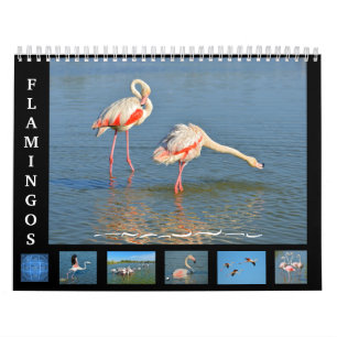 12 month calendar Flamingos