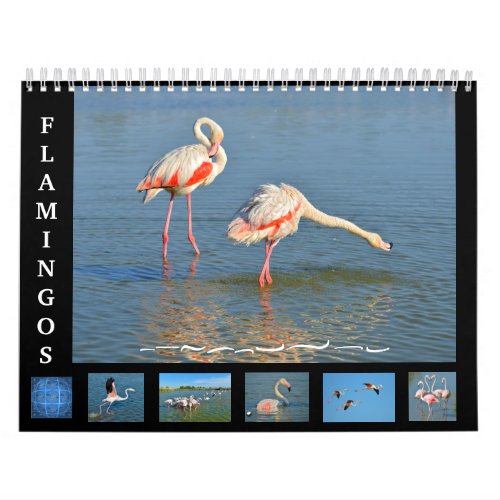 12 month calendar Flamingos