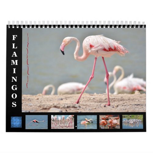 12 month calendar flamingos