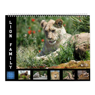 12 month calendar Lion family