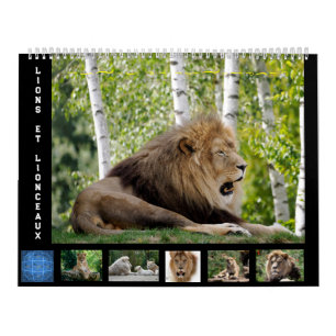 12 month calendar Lion family