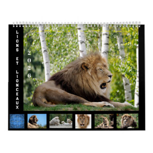 12 month calendar Lion family
