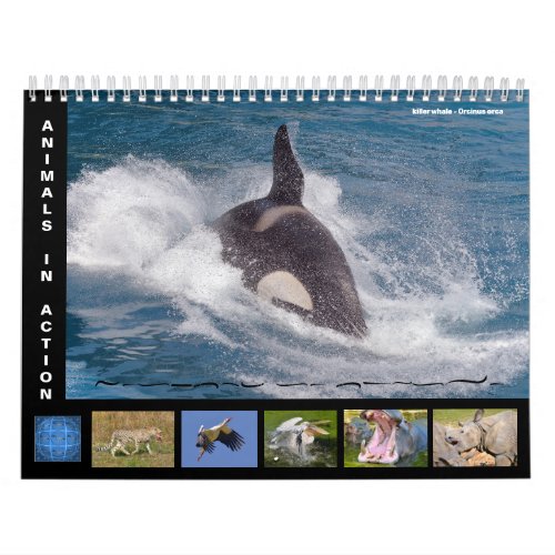 12 month calendar of animals in action