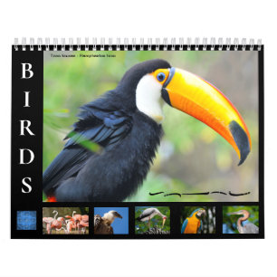12 month calendar of various birds