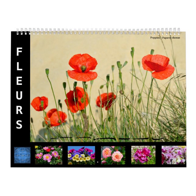 12 month calendar of various flowers (Cover)