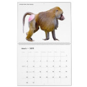 12 month calendar various animals isolated  (Mar 2025)
