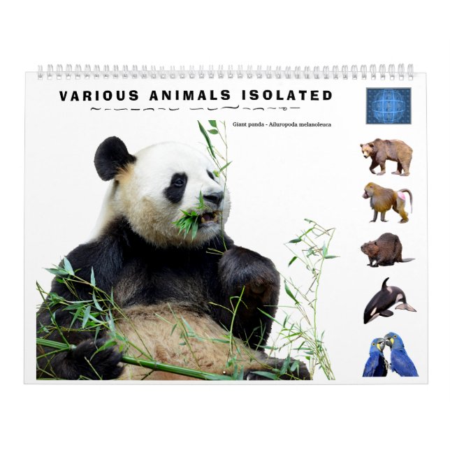 12 month calendar various animals isolated  (Cover)
