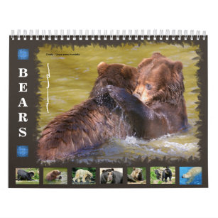 12 month calendar various bears 