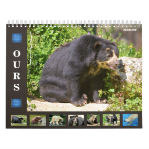 12 month calendar various bears