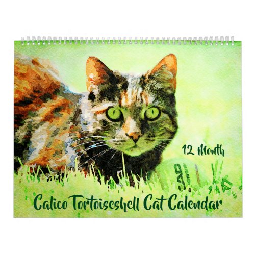 12 Month Calico Tortoiseshell Cats Watercolor Gift Calendar