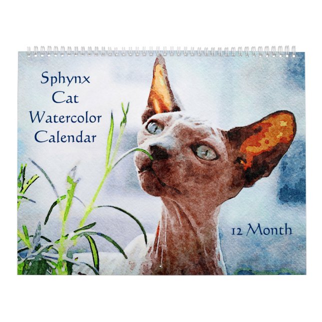 12 Month Hairless Sphynx Cats Watercolor Paintings Calendar (Cover)