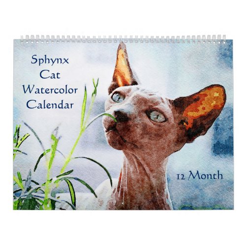 12 Month Hairless Sphynx Cats Watercolor Paintings Calendar