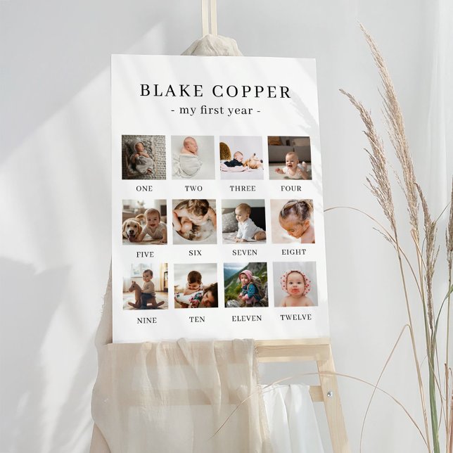 12 Month Photos 1st Birthday Sign  (Creator Uploaded)