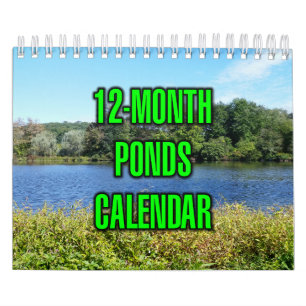 12-Month Ponds Calendar