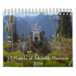 12 Months of Adorable Marmots 2016 Calendar