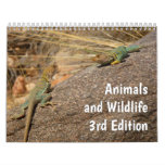 12 Months of Animals and Wildlife, 3rd Edition Calendar