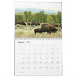 12 Months of Animals and Wildlife Edition 3 Calendar