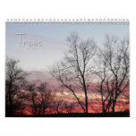 12 Months of Beautiful Trees, 1st Edition Calendar