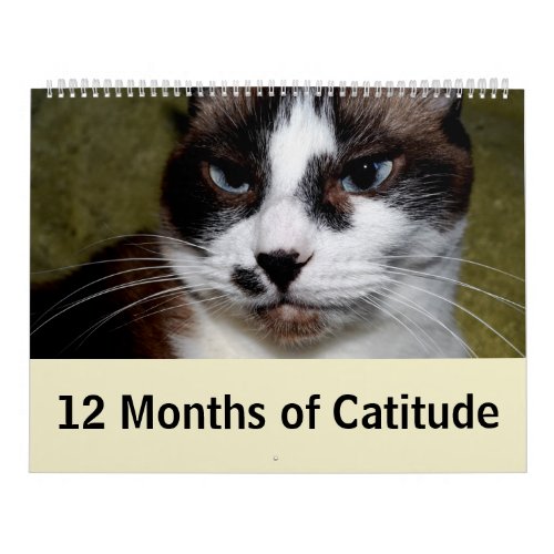 12 months of Catitude Calendar