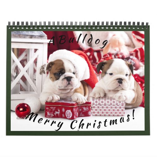 12 months of christmas Bulldog 2019 calendar