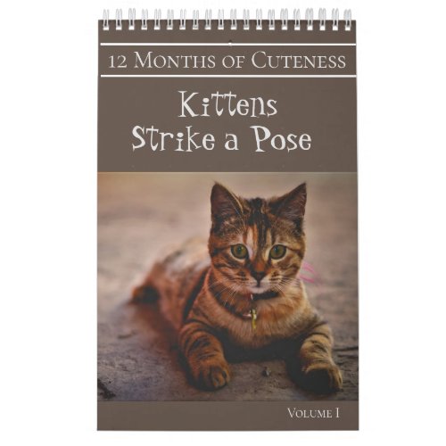 12 Months of Cuteness Kittens Strike a Pose Calendar
