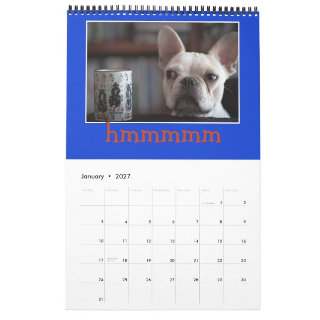 12 Months of Mr. K, Adorable Frenchie Calendar!! Calendar (Jan 2027)