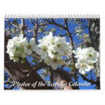 12 Months of Photos of the Seasons, 10th Edition Calendar