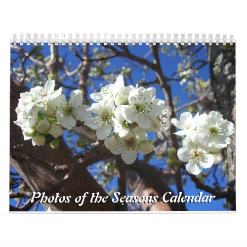 12 Months of Photos of the Seasons 10th Edition Calendar