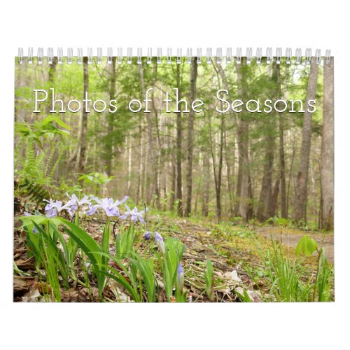 12 Months of Photos of the Seasons 13th Edition Calendar