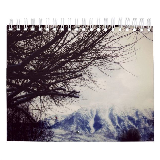 12 Months of the Year Dutch/Belgium Calendar (Cover)