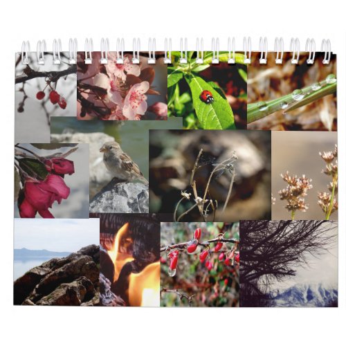 12 Months of the Year French Calendar