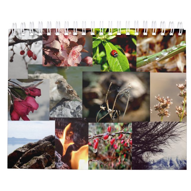 12 Months of the Year French Calendar (Back)