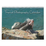 12 Months of Tropical Photography, 2nd Edition Calendar