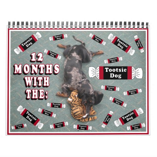 12 months with the tootise dog calendar