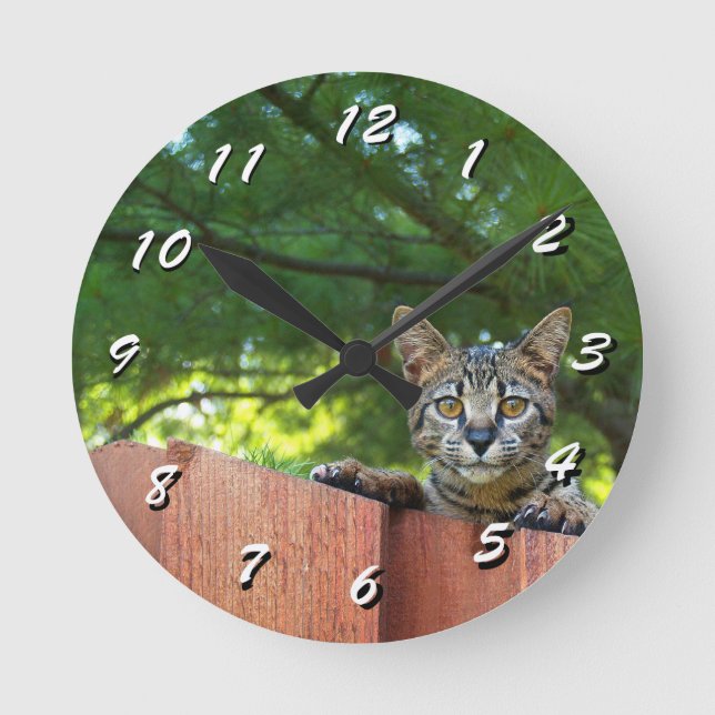 12 Number Choices to Choose --Cat Clock (Front)