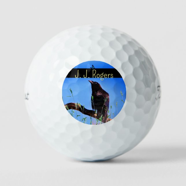 (12 Pack) Wildlife Raven Bird Personalized Golf Balls (Front)